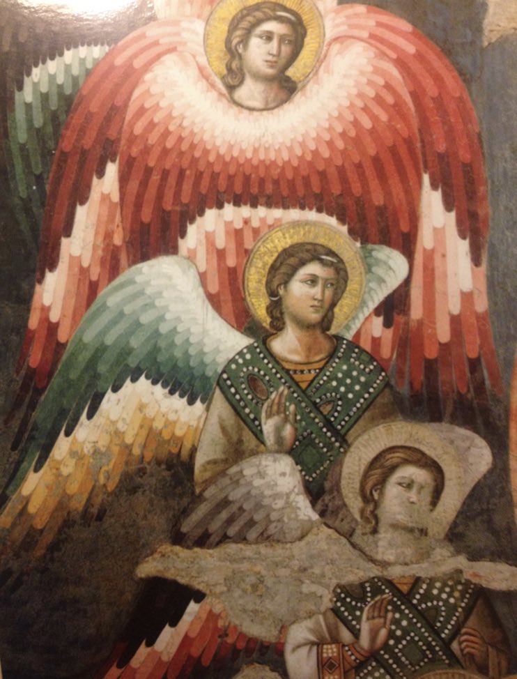 Dr Emily Guerry tweet media