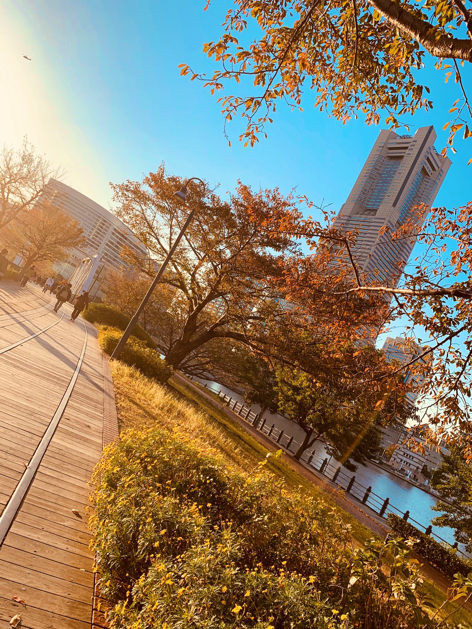 Isawa 写真垢 映画垢 秋 落ち葉 枯れ葉 茶色 横浜ランドマークタワー 青空 日差し 夕陽 全てが気持ちのいい1日 秋 落ち葉 枯れ葉 横浜ランドマークタワー 青空 日差し 夕暮れ 写真好きな人と繋がりたい 神奈川 Photo Iphonexr Iphoneを Isawa 写真垢 映画垢 秋 落ち葉 枯れ葉 茶色 横浜ランドマークタワー 青空 日差し 夕陽 全てが気持ちのいい1日 秋 落ち葉 枯れ葉 横浜ランドマークタワー 青空 日差し 夕暮れ 写真好きな人と繋がりたい 神奈川 Photo Iphonexr Iphoneを
