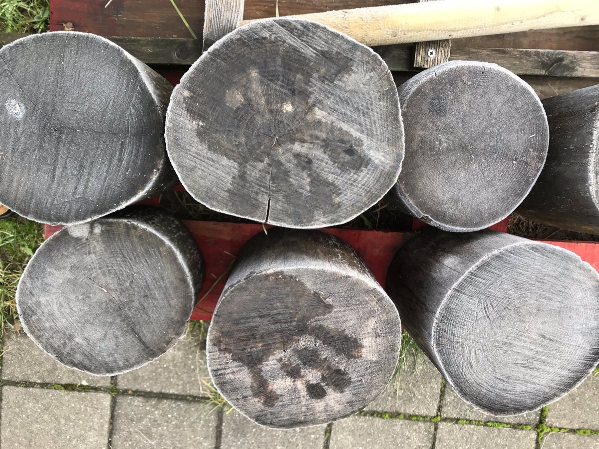 Yes it is cold! And nature is showing its most beautiful faces. Thank you <a href="/isdedu/">International School of Düsseldorf</a> @ISHROutdoorEd <a href="/waterscw/">Simon Waterworth</a>  @BreedloveCarol <a href="/kayleighgoode08/">Kayleigh</a>