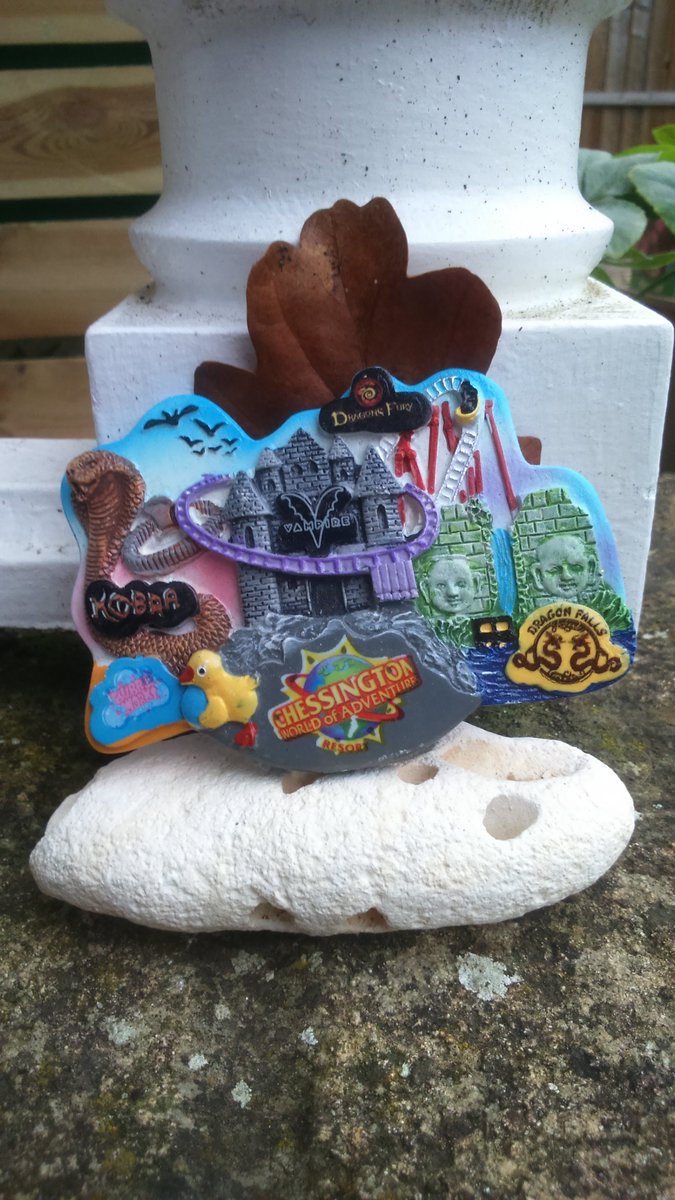 JGAdventureZone's tweet photo. Task #19 Make the most attractive nature exhibition. Your nature exhibition must contain a stone, a leaf and one other thing.
You can't get more attractive than a fridge magnet...
#Taskmasterbook #taskmelon @MelonBuffet @taskmaster @AlexHorne https://t.co/apKv0g2aGx