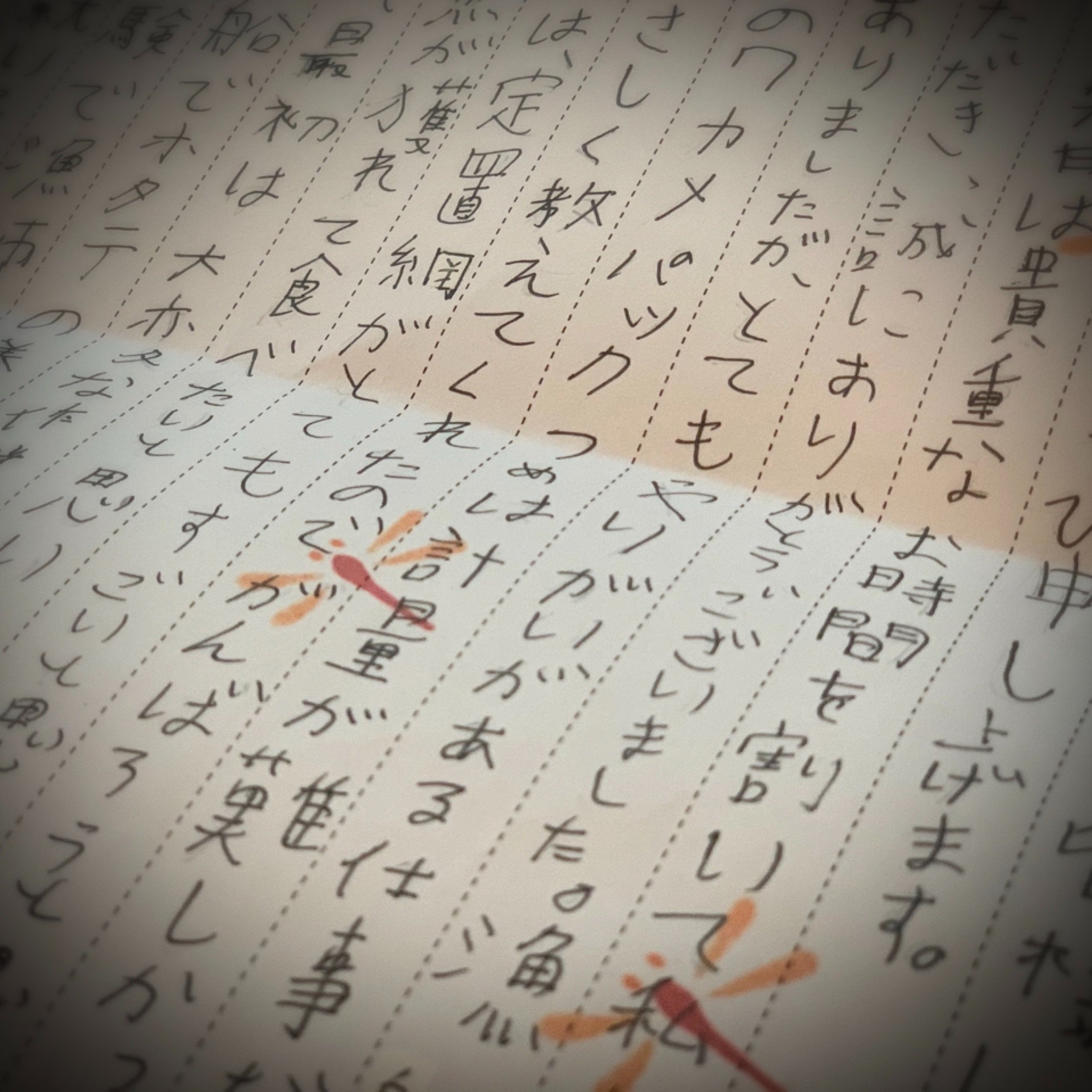 Fisherman Japan 先日職場体験学習にやってきた地元の中学生から お礼のお手紙をいただきました 中には筋肉痛になったという報告も 笑 こんなに丁寧なお手紙をもらったら 漁師たちも報われますね それぞれが漁師の仕事の大変さとおもしろさを肌で