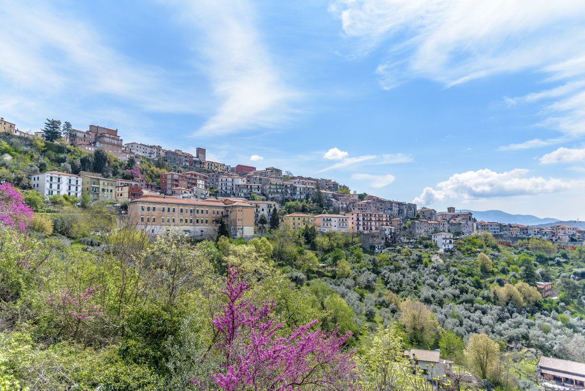 Compagnialepini's tweet photo. Una bellissima vista regalata da Segni!
#segni #italy #love #country #landscape #nature #NaturePhotography #place #visitplace #BORGHI #borghitalia https://t.co/KtymPba7Rq