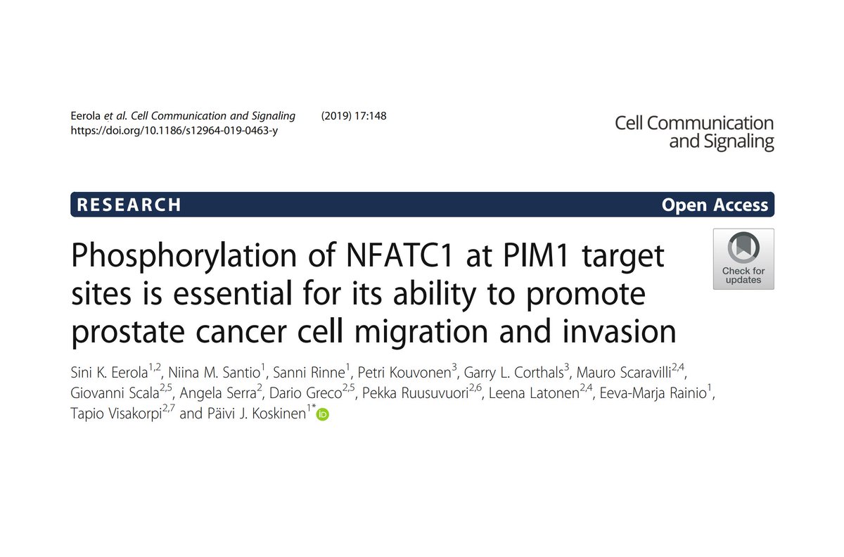 Niina Santio (@santioniina) on Twitter photo Latest news from the <a href="/KoskinenLab/">KoskinenLab</a> <a href="/UniTurku/">Turun yliopisto - University of Turku</a>! #Phosphorylation of #NFATC1 by #PIM1 promotes #prostatecancer #cellmigration and #cellinvasion - read more from the #originalpaper published at Cell Communication and Signaling :)
biosignaling.biomedcentral.com/articles/10.11… Latest news from the <a href="/KoskinenLab/">KoskinenLab</a> <a href="/UniTurku/">Turun yliopisto - University of Turku</a>! #Phosphorylation of #NFATC1 by #PIM1 promotes #prostatecancer #cellmigration and #cellinvasion - read more from the #originalpaper published at Cell Communication and Signaling :)
biosignaling.biomedcentral.com/articles/10.11…
