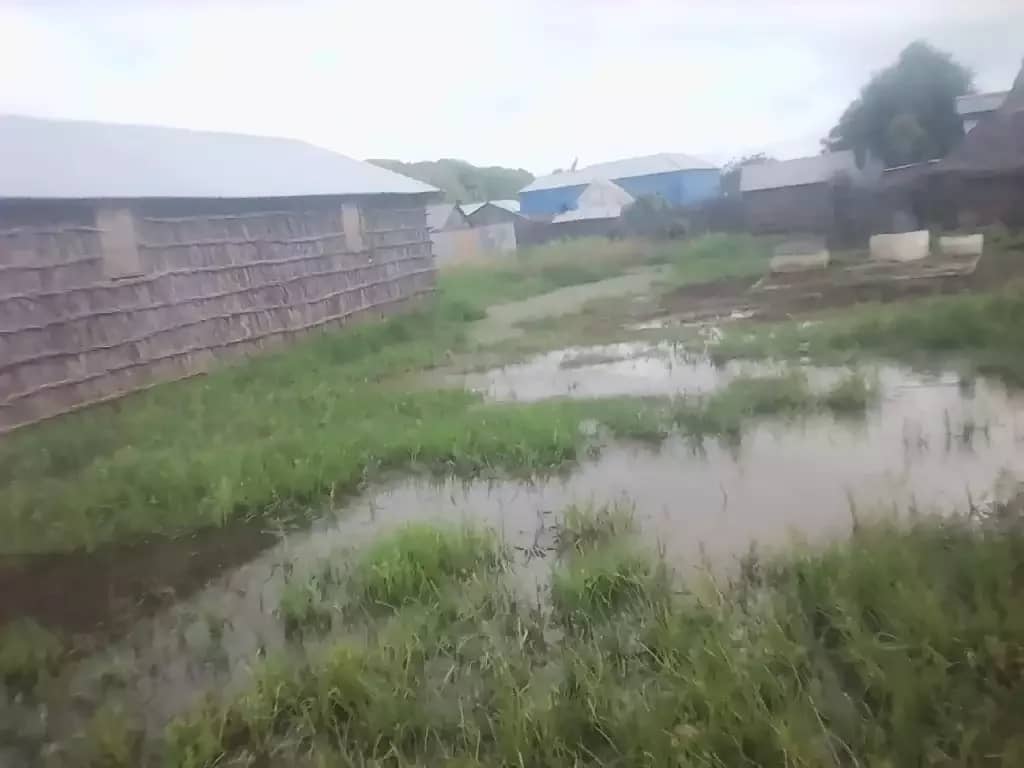 Aid_Vision's tweet photo. Schools in #Sabuun #Buurfule and #Barey villages Jowhar are inundated by flood water. @shf_somalia @UNICEFEducation @unicefsomalia @WASHadvocates https://t.co/CfhipXX8F8