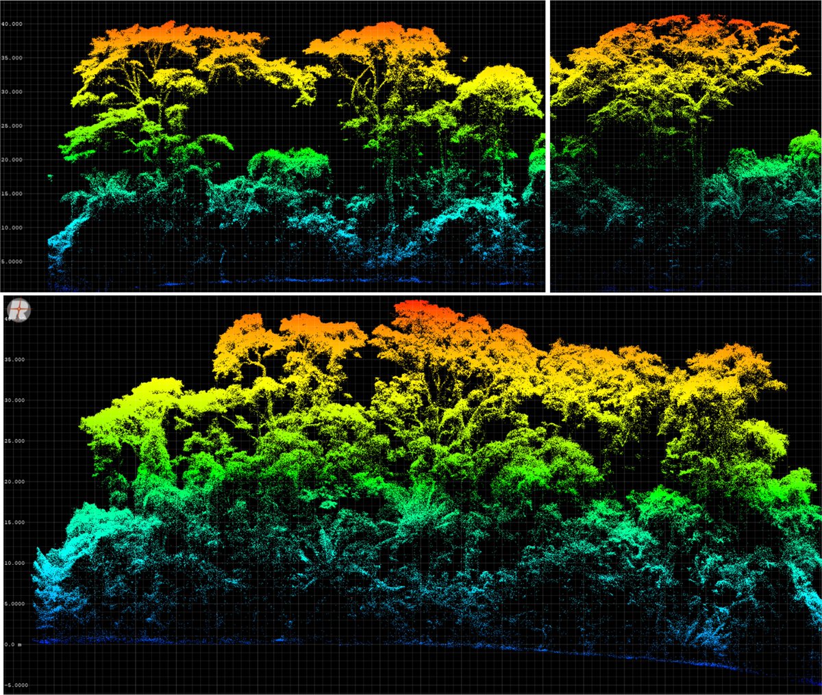 Pre-processing #lidar data is dull, and flying our #UAVs✈️ low over tall forests to get it is heart stopping, but worth it! 

Transects through two of our 1ha plots in #Peru 🇵🇪. I estimate 8 of these🌲have since been felled to help us develop new ways to detect #degradation 🛰️