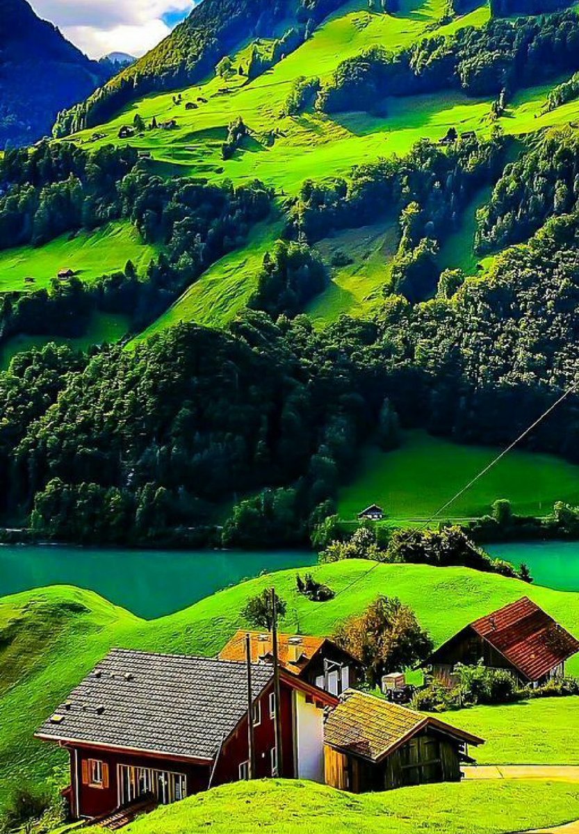 merten6565 (@merten6565) on Twitter photo 