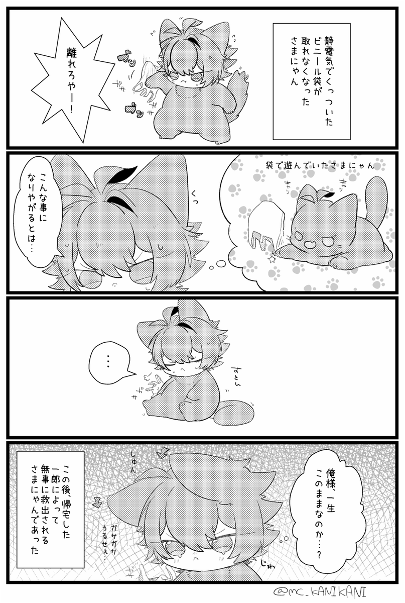 さまにゃんVSビニール袋 