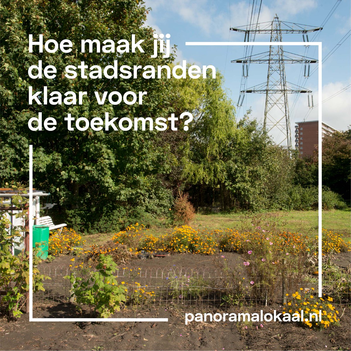 De nieuwsbrief van Panorama Lokaal is weer verschenen. Met meer info hoe en wanneer je kunt deelnemen. Gemist? Lees hem online! mailchi.mp/ea13fef99b08/k…