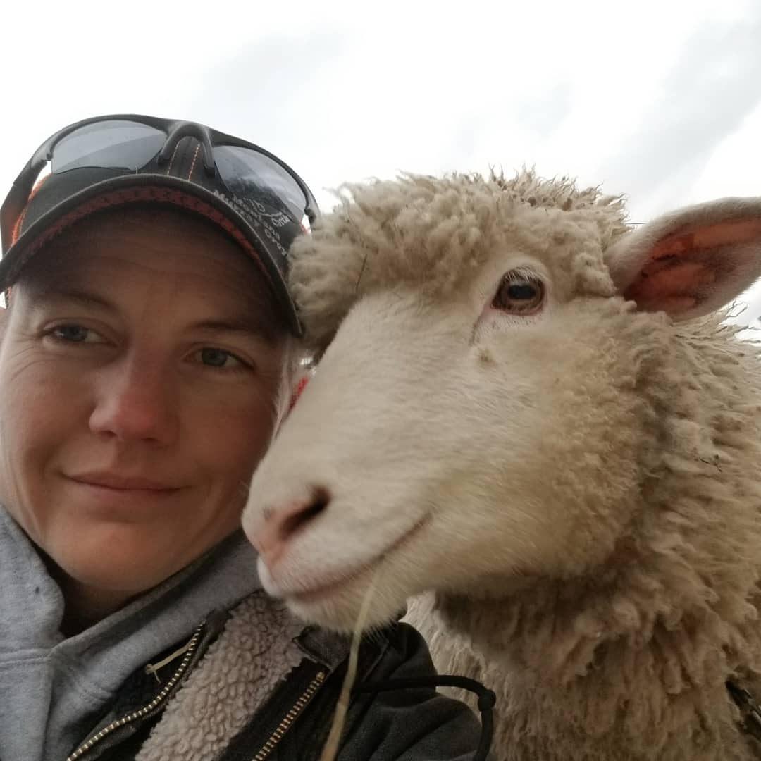 CatalystCattle's tweet photo. What can we say.. we love our critters and they love us! Pretty sure that ewe is smiling!
#catalystcattle #Montana #murraygrey #murraygreyinternational #sheep #selfie #bulls #ewes #thisissthelife #lifeisgood https://t.co/77uSbb94LO