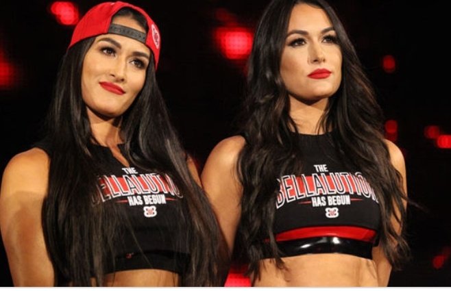 Happy Birthday To My Favorite Womens Wrestlers Brie Bella & Nikki Bella 