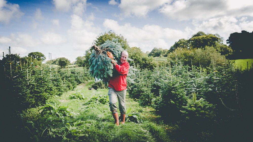 <a href="/CotleyXmasTrees/">Cotley Farm</a> is inviting their visitors to 'Keep It Real' this year by opting for a real Christmas tree instead of a plastic one.

#GreenChristmas #KeepItReal #OhChristmasTree #Plastic #Local #Business

grow-media.co.uk/exeter-news/co…