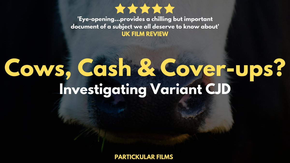 Cows, Cash & Cover-ups? tweet media