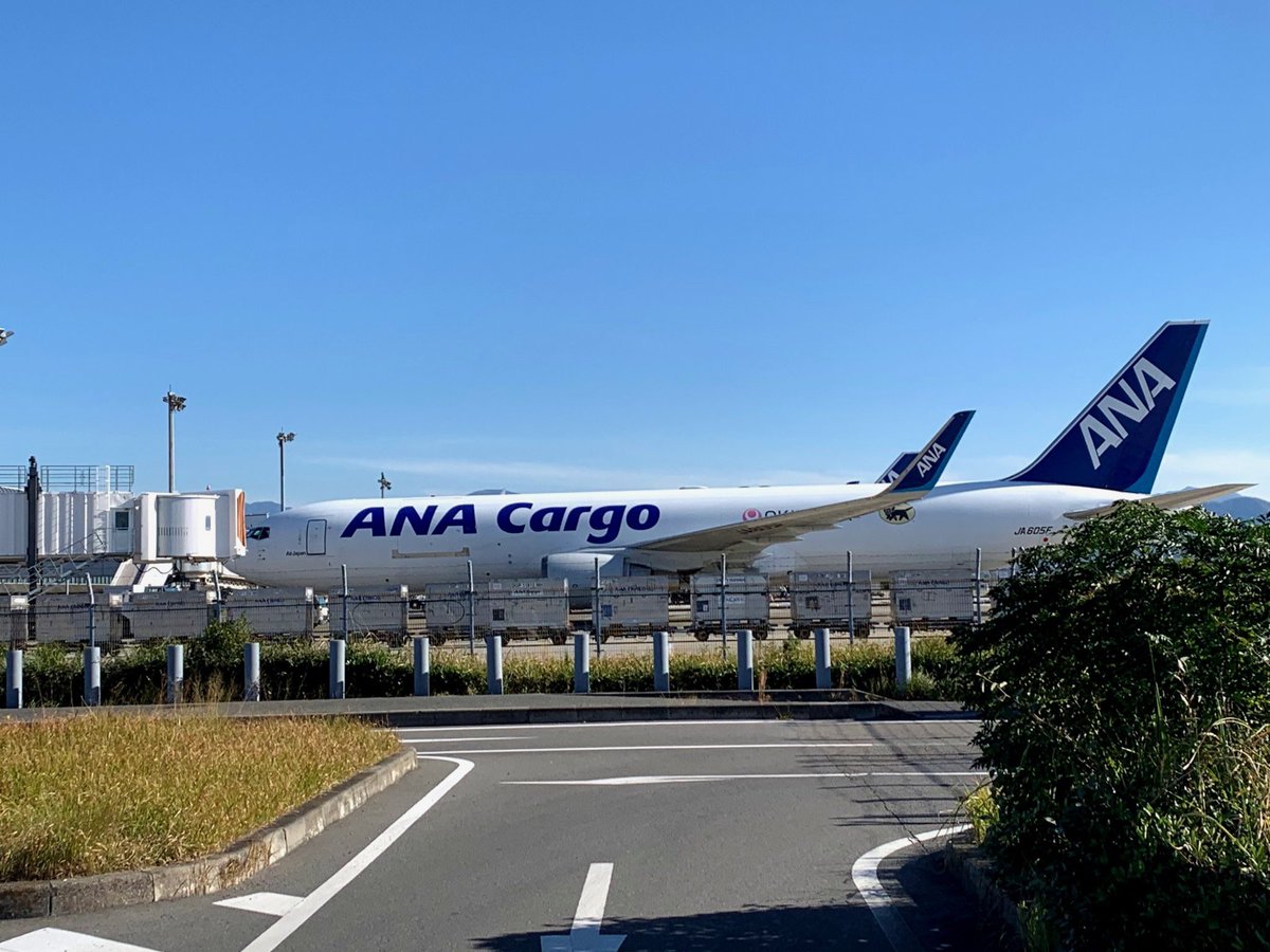 今日（11/21）午後の松山空港 主に国際線が着く駐機場に、ANAのCargo便