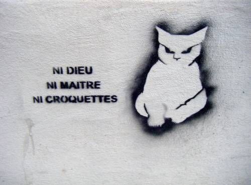 Appelons un 🐱 un 🐱. Gardez vos croquettes indigestes, on ne veut pas des miettes ! C 'est tout un système à détricoter,à faire péter apparemment 💥💣✊🏼 Un combat politique ! #TOUSCONCERNES