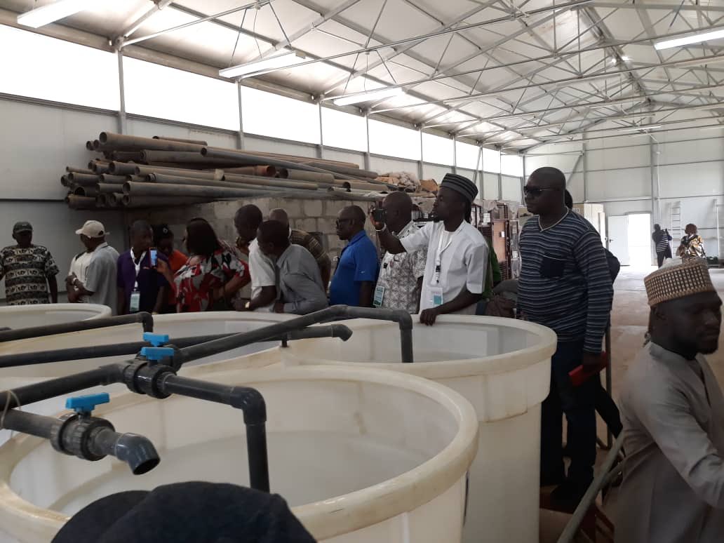 institute_amn's tweet photo. More pictures #ThinkForward #Thinkforwardwithiamn #Nigeria #Agribusiness #Africa https://t.co/uCM2L8c8bg