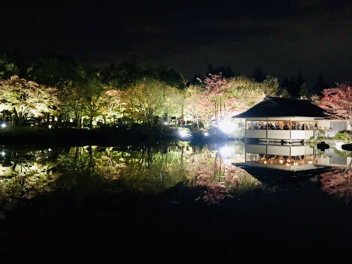 まつもとまきこ Martha 今年からイルミネーションに代わって始まった昭和記念公園の 黄葉紅葉まつり 秋の夜散歩 素敵なライトアップでした 和もいいですね ᵕ 昭和記念公園 ライトアップ 紅葉ライトアップ 日本庭園 銀杏並木