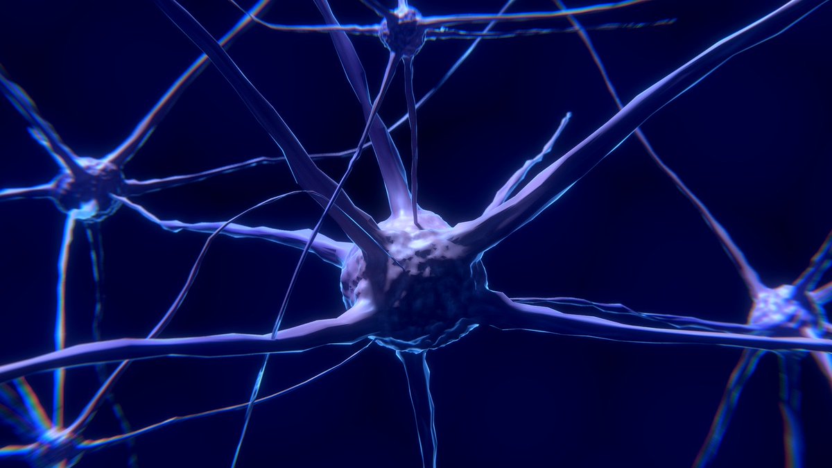 Verteego souhaite prédire les crises d'épilepsie grâce à l'intelligence artificielle - L'Usine Digitale usine-digitale.fr/article/vertee… #IA