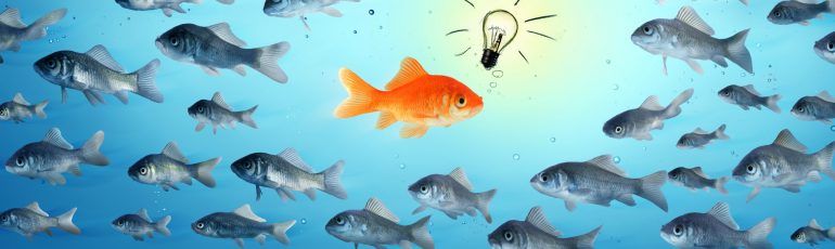 Hoe ontsnap je aan de commodity-valkuil? buff.ly/365S3k3 #customerengagement