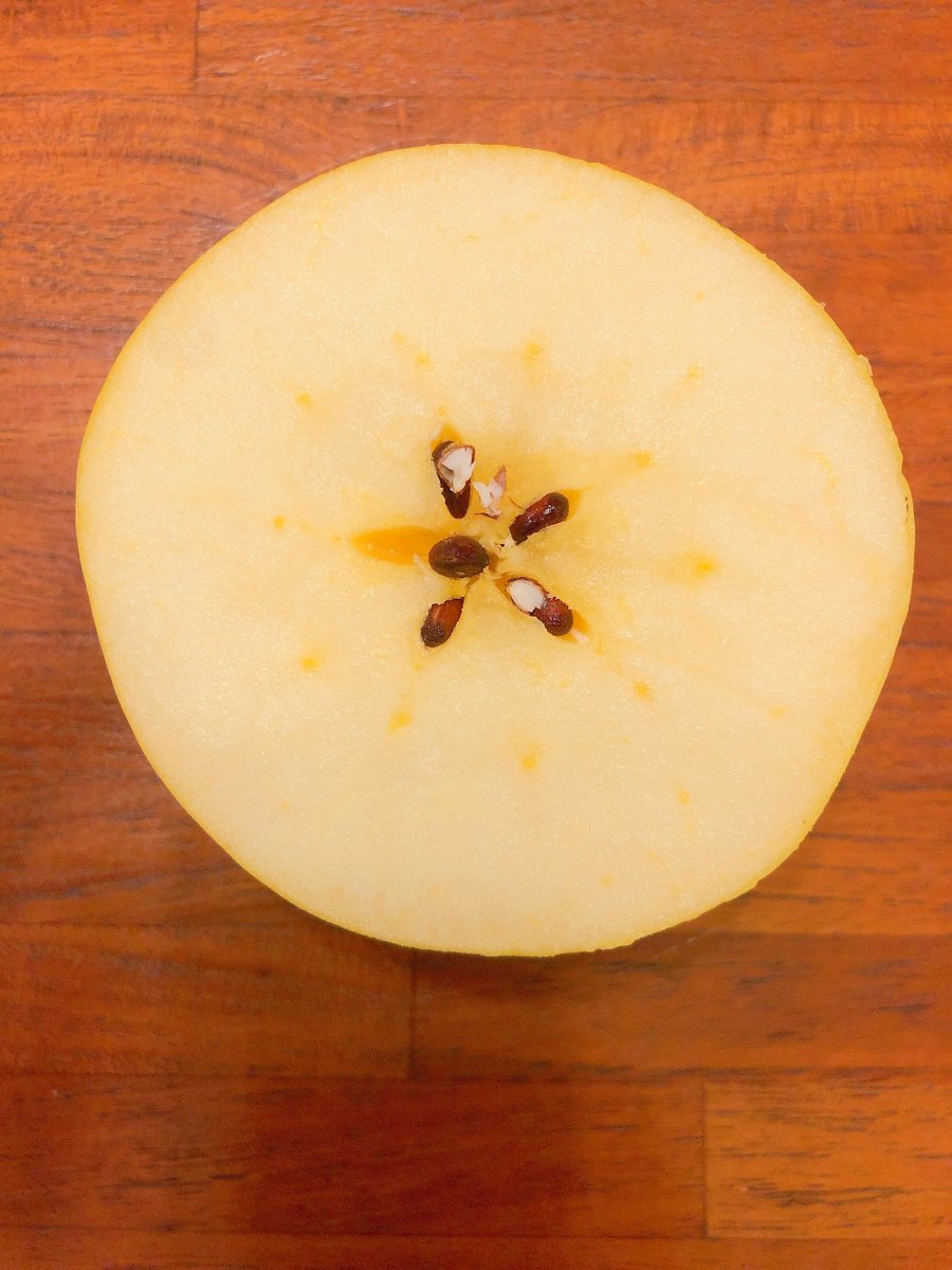 みなとのごちそう野菜 王鈴 おうれい 形が特徴的な王鈴 おうれい 肉質は硬いですがジューシー 酸味があまりなく 甘味が強いです 昔は作られていた品種だそうですが 形が特徴的で 流通用のパックが合わなかったことから 生産が増えなかった みなとのごちそう野菜 王鈴 おうれい 形が特徴的な王鈴 おうれい 肉質は硬いですがジューシー 酸味があまりなく 甘味が強いです 昔は作られていた品種だそうですが 形が特徴的で 流通用のパックが合わなかったことから 生産が増えなかった