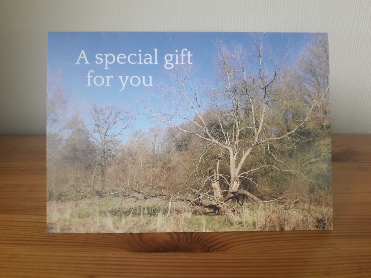 🌲🌳🌿Give the gift of trees at Christmas!🌲🌳🌿

Avon Needs Trees is buying land to plant permanent forest in the Bristol-Avon catchment area and if you go to avonneedstrees.org.uk/gift-cards we'll send one of our charming gift cards to the tree lover you love!