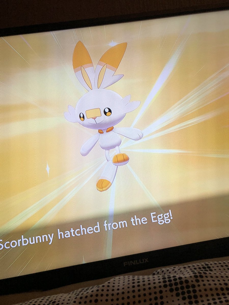 Declan - PoGo/Lv40 tweet media