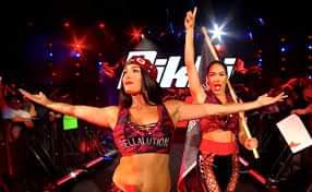 Happy Birthday to Nikki & Brie Bella! 