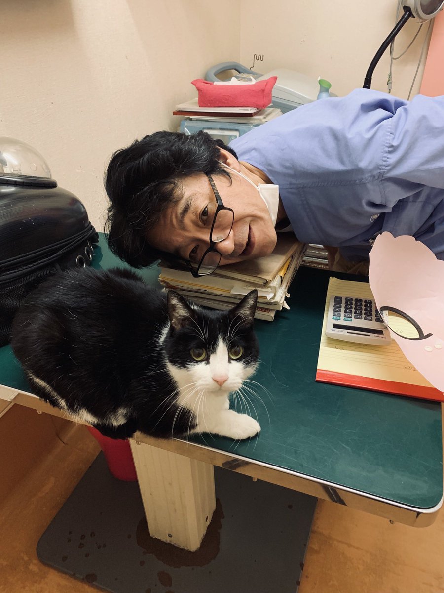 桜台ペットクリニック