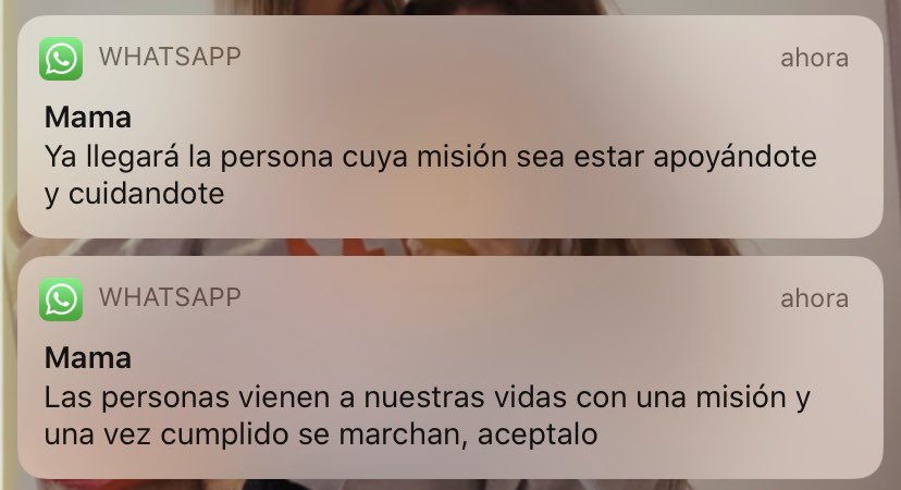 Nhoalosa🦋🐆 tweet media