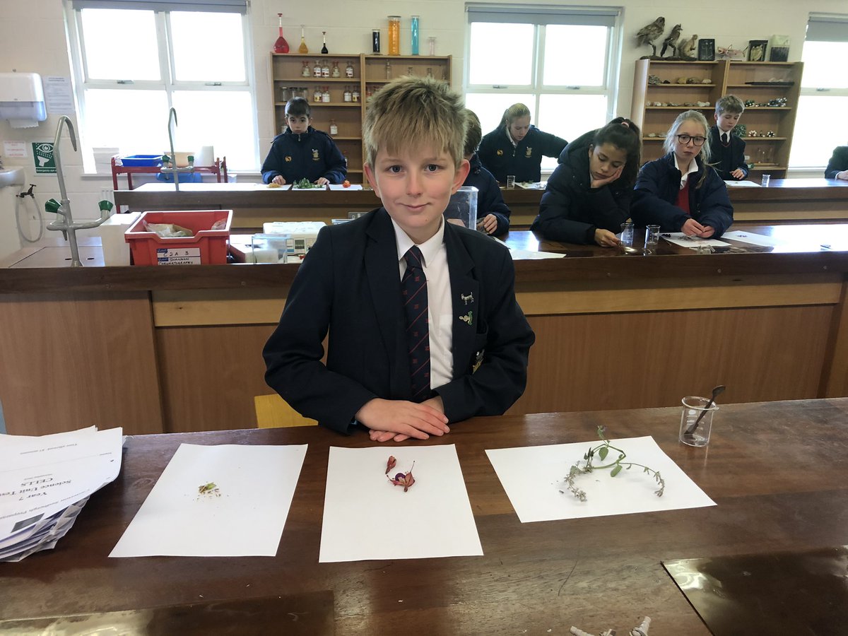 Cressbrook_Sed's tweet photo. Extracting natural products - eucalyptus and other fragrances. @RSC_EiC with Year 7 #separatingtechniques https://t.co/TuebLBbVDP