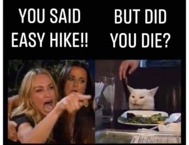 AZZOUZIHoudaa's tweet image. Been there, done that! #hikingproblems