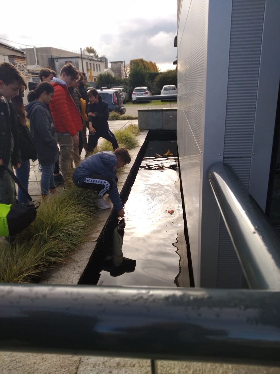 copying_srl's tweet photo. Qualche scatto dal nostro PMI Day con i ragazzi della 3D dell’Istituto Comprensivo di Tradate! Bruno e le nostre carpe sono state parte integrante della visita 😅🥰 #pmiday #copying2020 #generazionedindustria https://t.co/sE2gN66FSh