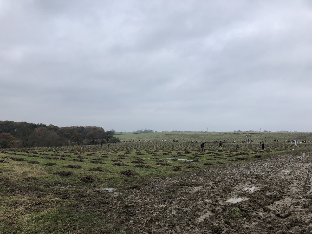 Aston_and_James's tweet photo. 8000 trees planted in our morning session. Amazing what 300 people can do when you work together - find out more about carbon capture and how you can get involved supporting the Woodland Trust https://t.co/eWJZYLOvrY https://t.co/FrvAmYL6rh