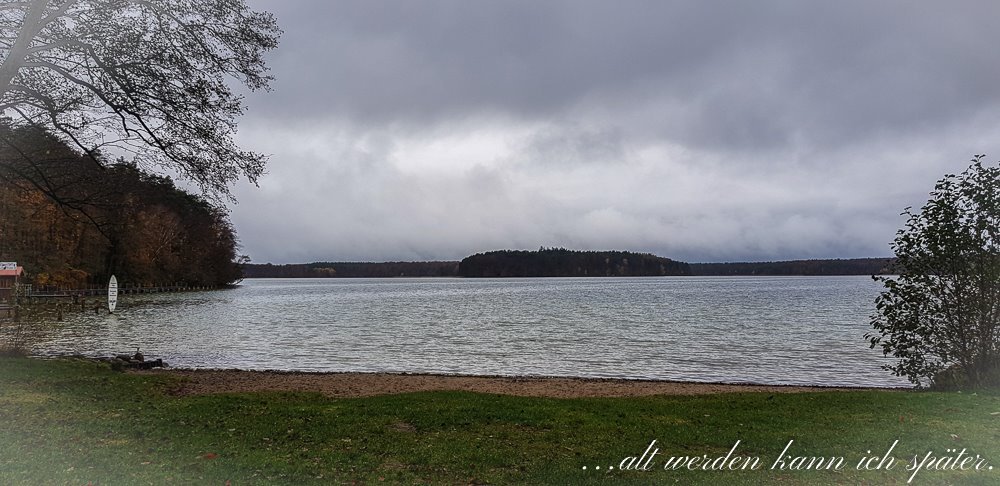 Regula_Blog's tweet image. Der Stechlin - der letzte Roman von Theodor Fontane und ein mystischer See in Brandenburg. Mehr: altwerden-spaeter.blog/2019/11/21/der…