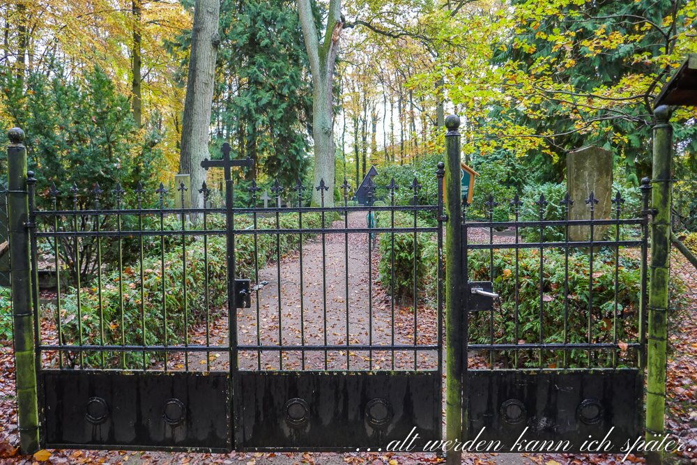 Regula_Blog's tweet image. Der Stechlin - der letzte Roman von Theodor Fontane und ein mystischer See in Brandenburg. Mehr: altwerden-spaeter.blog/2019/11/21/der…