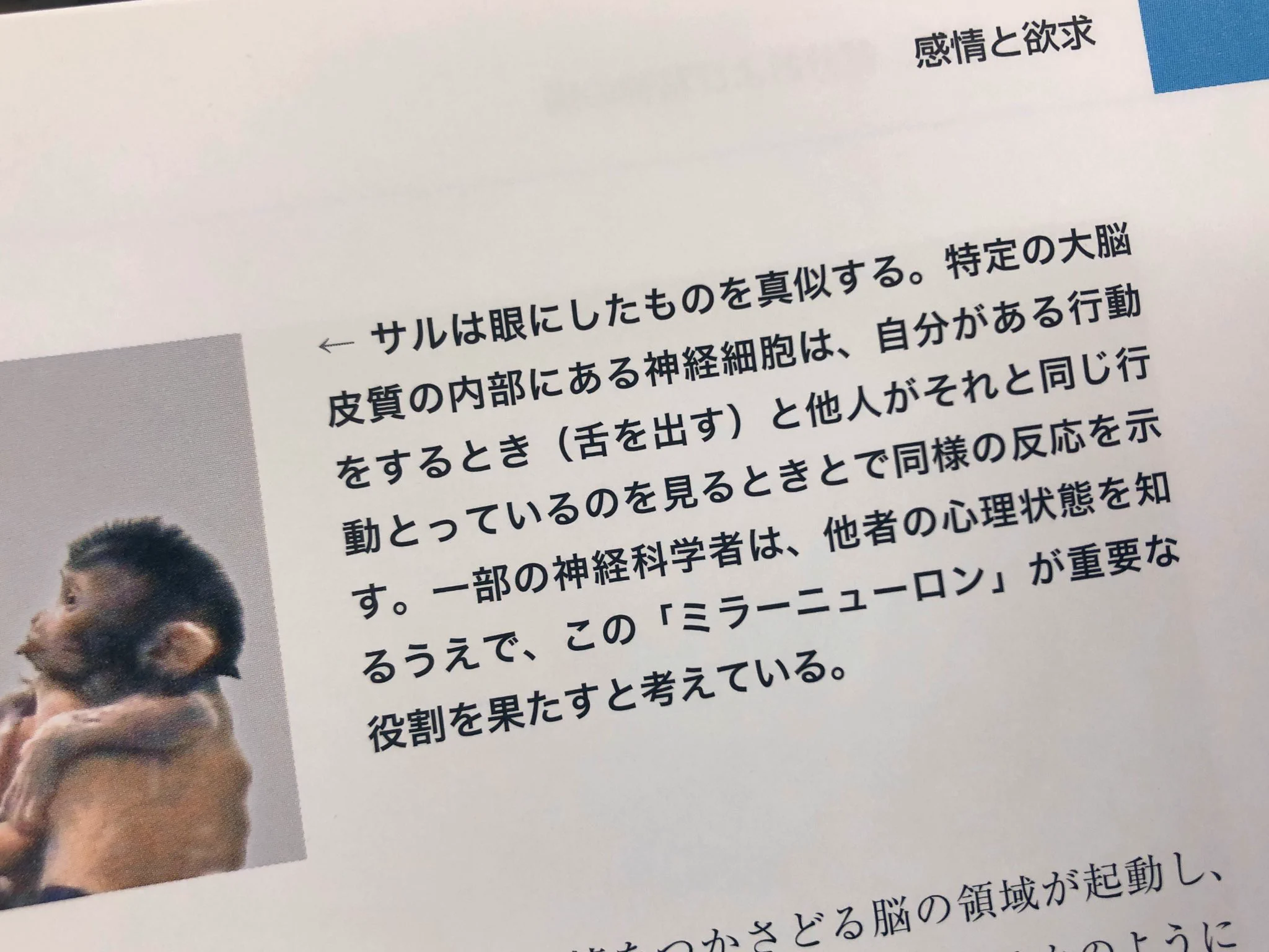 【神経学の勉強のつもりが】お猿さんの本能が可愛すぎてバズりまくり