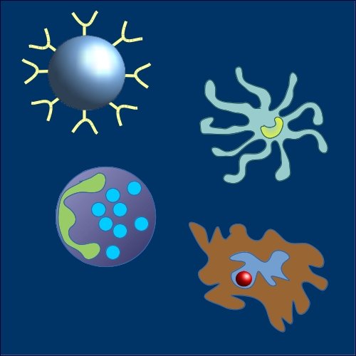 The science of  immunopharmacology aims to manipulate the immune system by modifying the endogenous immune responses to the benefit of the host in the treatment of diseases. #Neuropharmacology,  #Psychopharmacology, #Clinicalpharmacology ,#Cardiovascular #Pharmacokinetics,