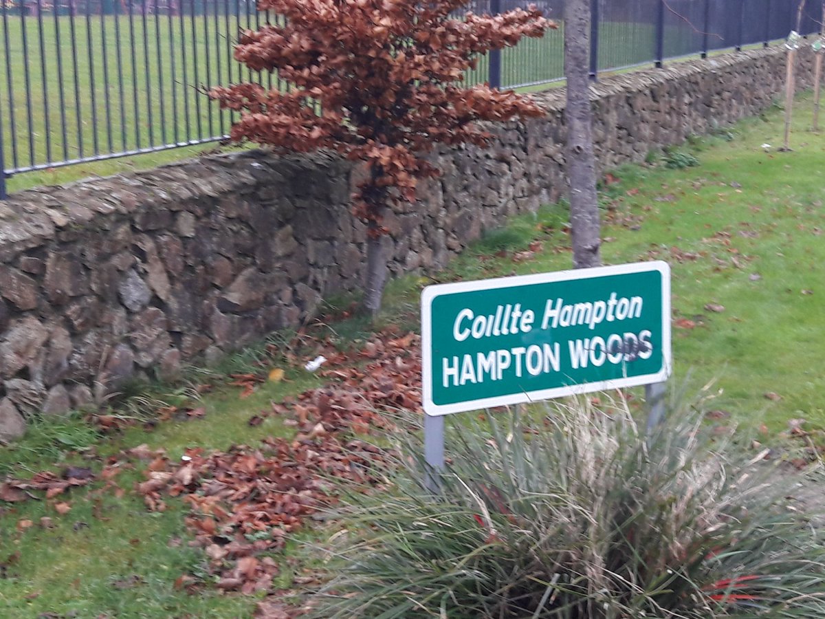 MalachyQuinnSF's tweet photo. Out in Ashfield &amp; Hampton Gardens #Balbriggan  leafleting for @sinnfeinireland Dublin Fingal bye election candidate Cllr Ann Graves  - good chat with residents with positive feedback on work done locally.
@loreillysf @SwordsSinnFein https://t.co/tU7rxamrOj