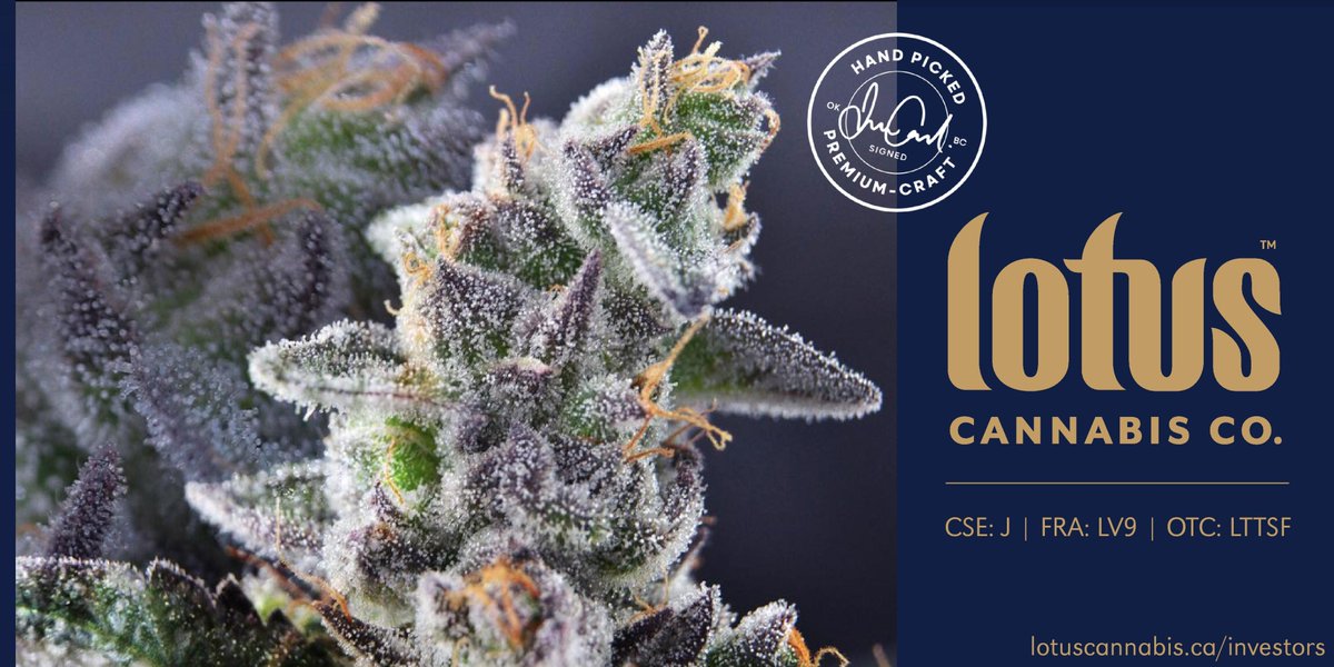 Lotus Cannabis Co. (@lotuscannabisco) on Twitter photo #NewsRelease First shipment details with <a href="/AuxlyGroup/">Auxly Cannabis Group</a>, 22.6% THC lab test results and market trends.
Read the news: bit.ly/35msFVZ
$J $XLY #NewsRelease First shipment details with <a href="/AuxlyGroup/">Auxly Cannabis Group</a>, 22.6% THC lab test results and market trends.
Read the news: bit.ly/35msFVZ
$J $XLY