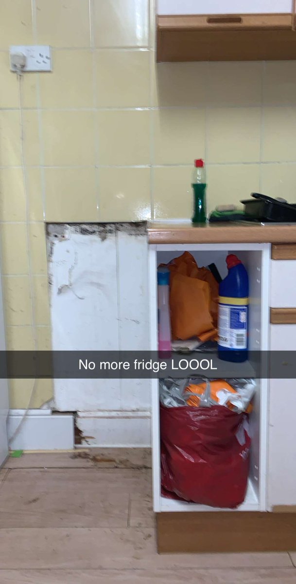 Kelseychristne's tweet photo. normal wednesday at uni , I hate it here https://t.co/MhBHqzgby5