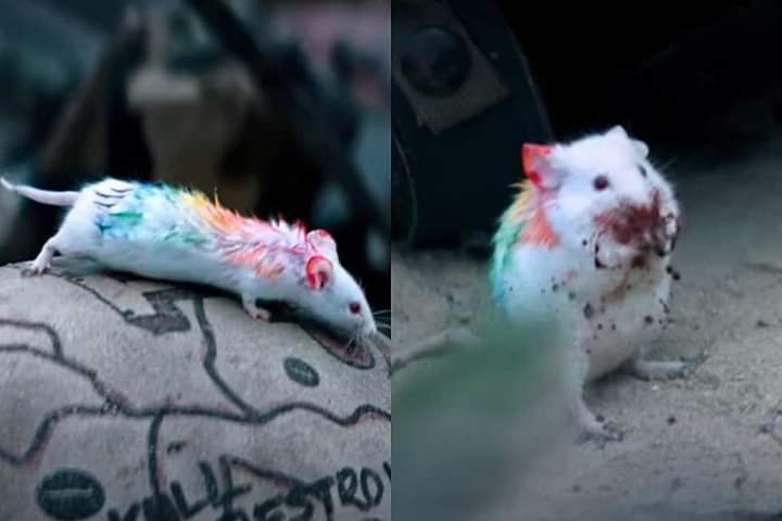 Ima tell my kids this was 69