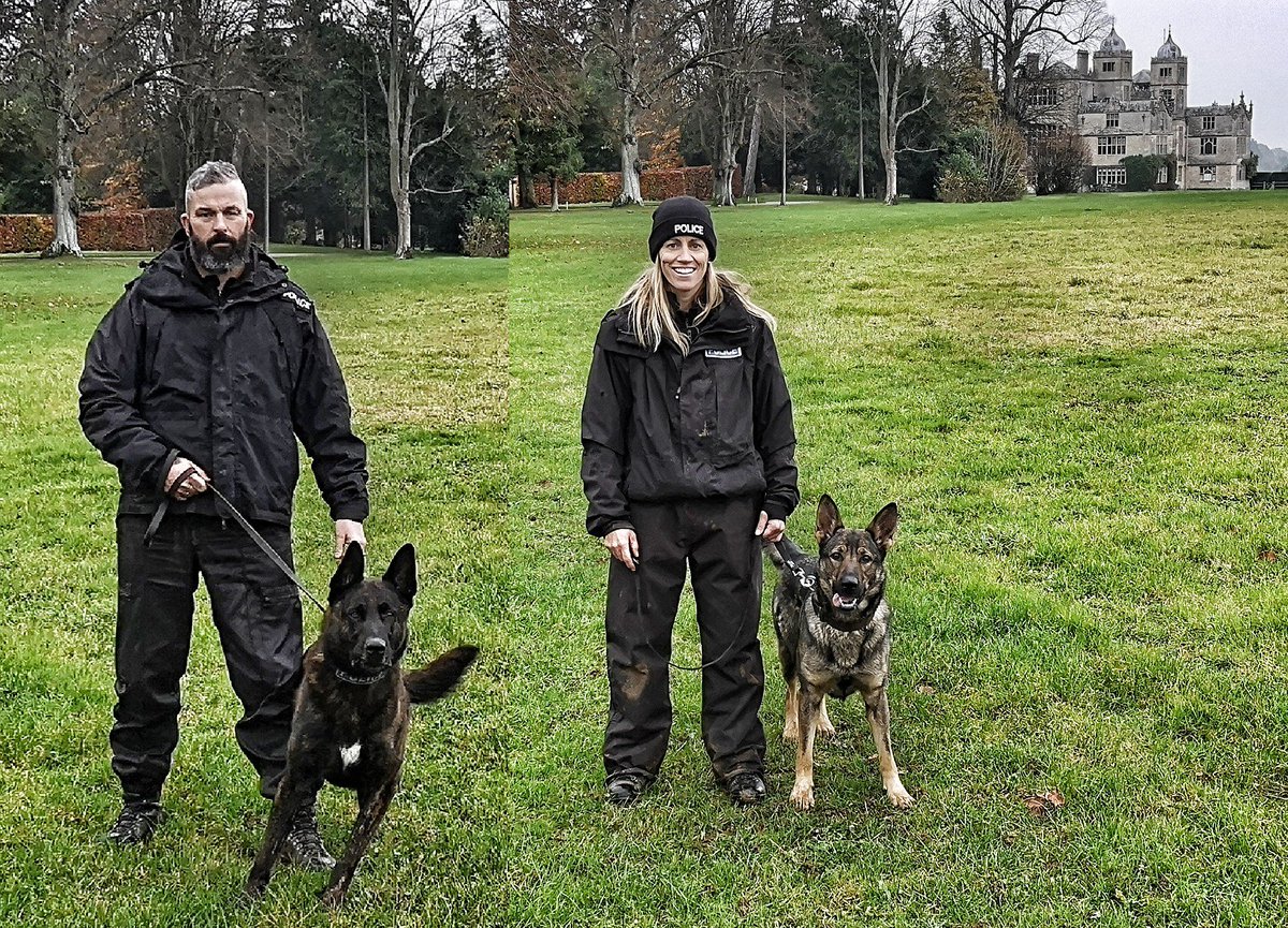 wiltspolicedogs's tweet photo. PD's Fozzy 🐾 &amp; Lorrie 🐾
Again passed yearly Home Office licensing with flying colours. Safe, competent and protecting our communities.
Thank you to @CharltonParkEst for letting us use your beautiful estate. https://t.co/2mJJfVcb42