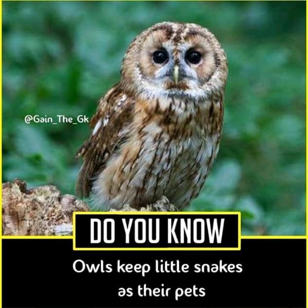 mindreprogramme's tweet image. UNLIKELY PARTNERSHIP. mindreprogrammecom.wordpress.com/2019/11/21/unl…