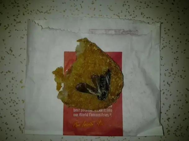 internet now so random that even this moth on my mcdonalds hashbrown would go viral