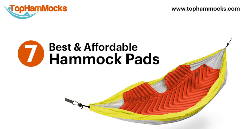 Top_HamMocks tweet picture