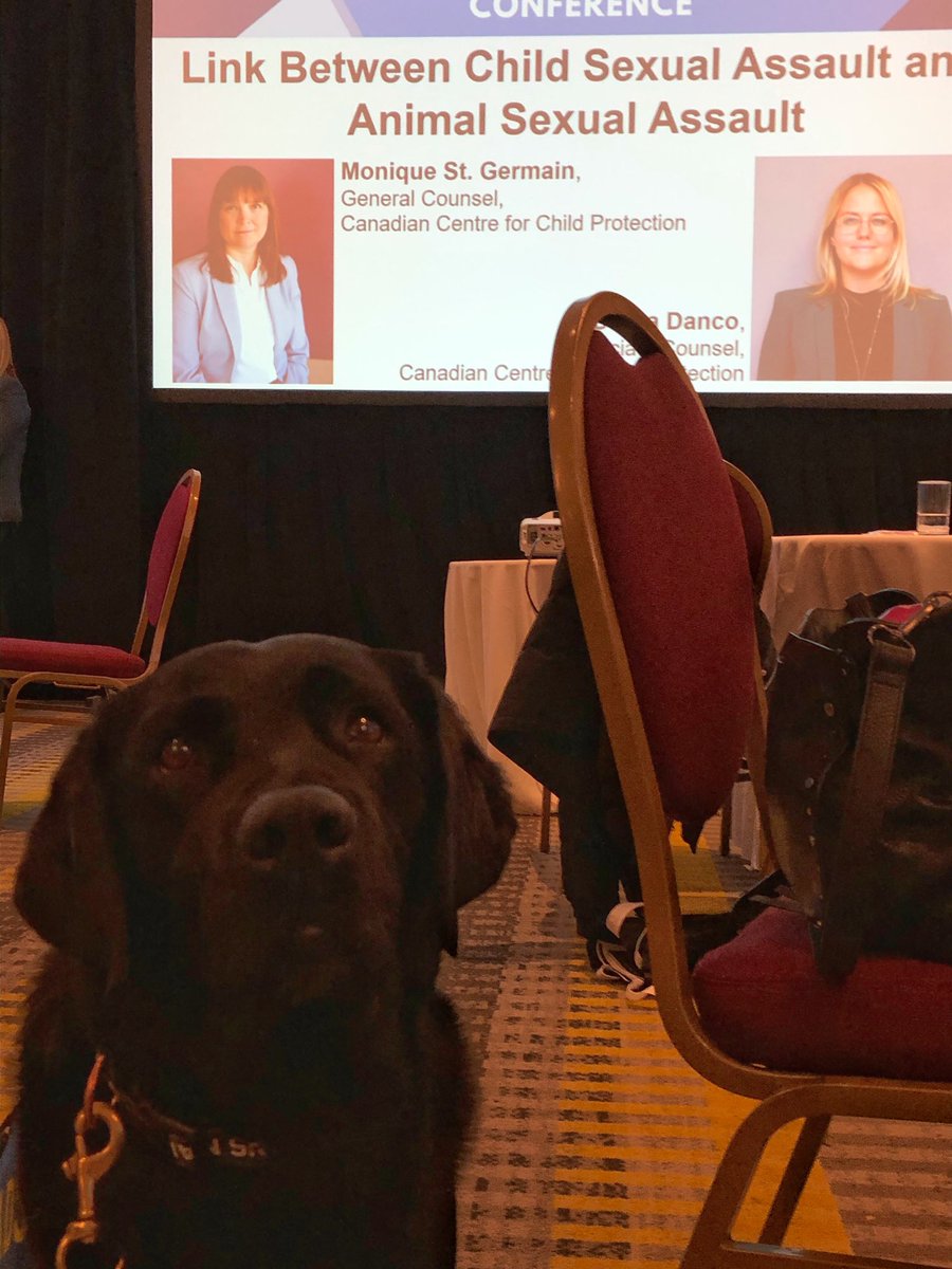 PADSk9Merlot's tweet photo. Looking forward to the next presentation @HumaneCanada #link2019 conference. @MoniqueStG from the @CdnChildProtect . #childabuse #facilitydog @reginapolice @PADSdogs https://t.co/LtcfNpa75j