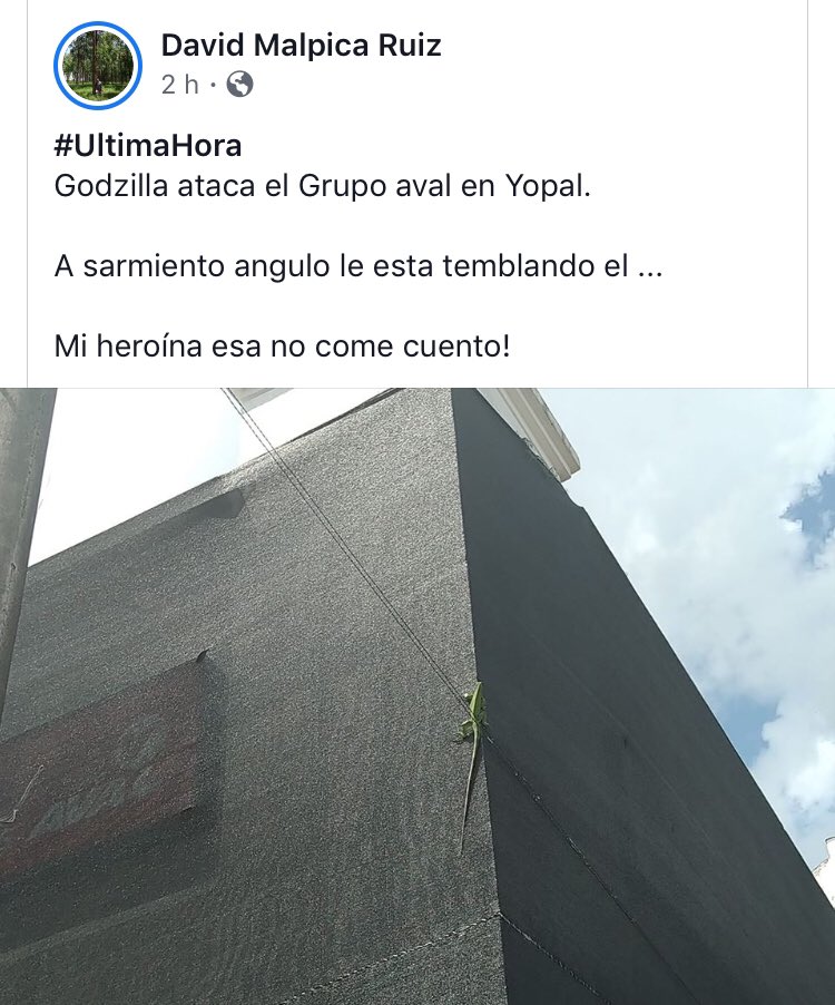 laoicata's tweet photo. Atacada sede de Grupo Aval en #Yopal por Iguana izquierdista mamerta #sarmientoangulo #quelemandenelEsmad #tomadodefacebook #atencion #ultimahora https://t.co/WsHelbmkBA