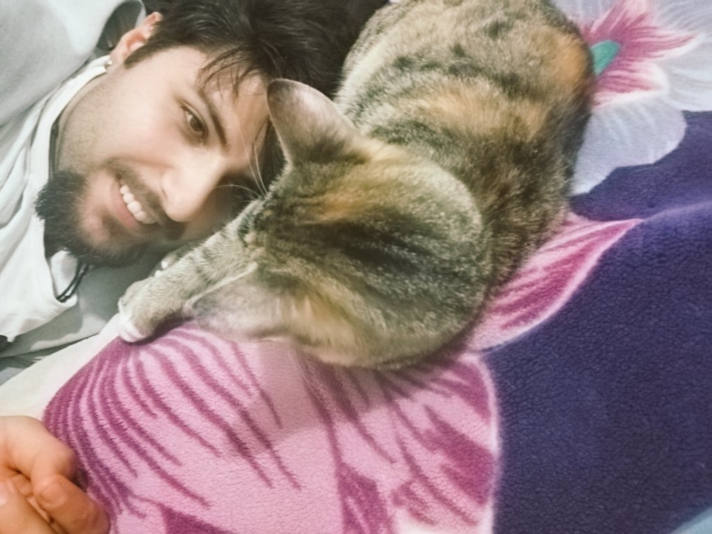 mtlusyfii's tweet photo. Artık oyun bitti seni küçük yaramaz şey....beni rahat bırak şimdi :) :) #peripella 🐈🐈 https://t.co/PBtxBuHj29