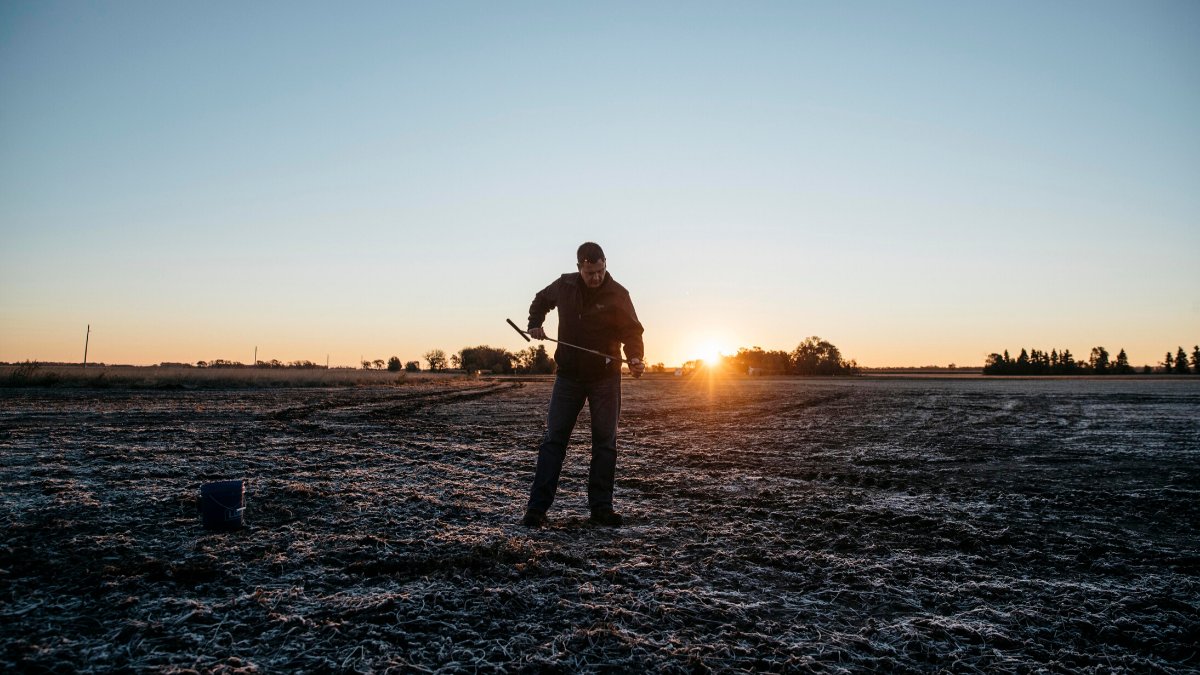 #BalancedCropNutrition starts in the #soil. It's #WorldSoilDay. Learn how consistent #soil sampling every 2 years can help your operation: bit.ly/consistent-soi…