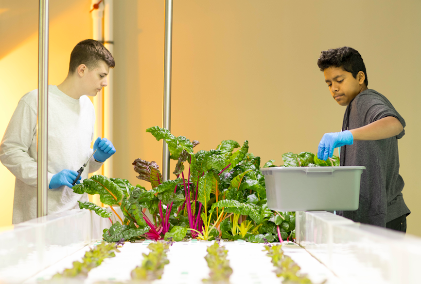 CommCharterAcad's tweet photo. Our students have grown and donated more than 380 lbs of produce to @centralpafb at our state-of-the-art, career training aquaponic center.

This is innovative education for a sustainable future, a demonstration of commitment to our communities. @PAAgriculture @pedroarivera2 https://t.co/GxMEh4CjSQ