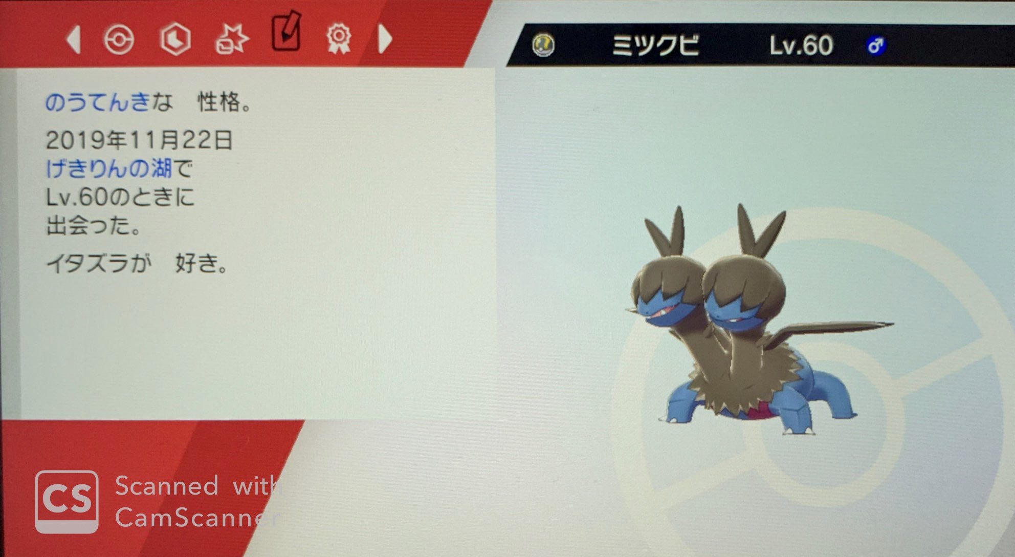 光る 鳴る Dx無様生成機 霧島のポケモン剣vs盾vs鍋 ミツクビくんと別にもう一体育てて合計2体育てることになるか ミツクビ ジヘッド のうてんきな性格 イタズラが好き 由来 密首 T Co T6ns7k8dos Twitter